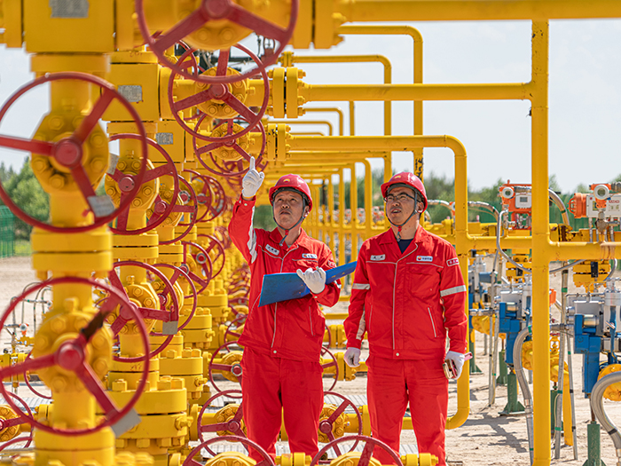 281732758062689598.jpg 06.jpg