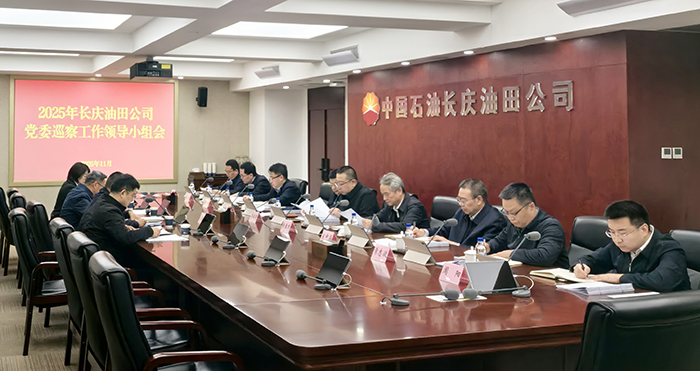 041764832687943132.jpg 1114油田公司召开2025年党委巡察工作领导小组会议1111.jpg